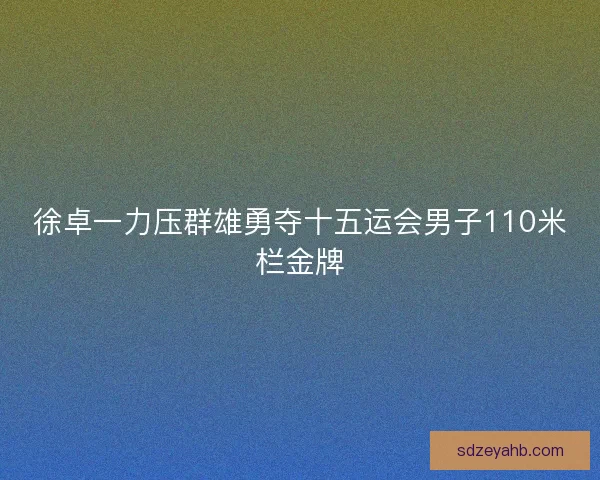 徐卓一力压群雄勇夺十五运会男子110米栏金牌